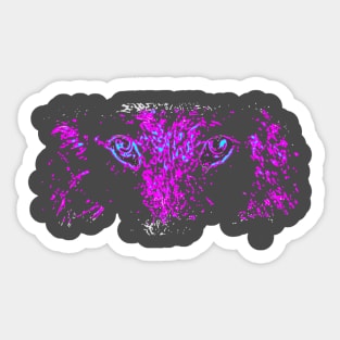 2PACK Sticker